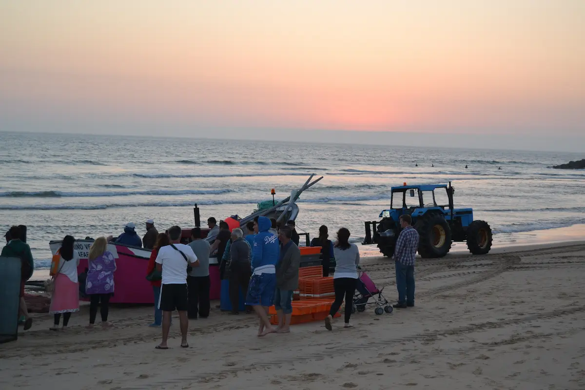 Arte xávega on the Costa da Caparica at the end of the day Fishermen and visitors gathered around the arte xávega boat on the Costa da Caparica beach at sunset, with a blue tractor and orange fish crates on the sand